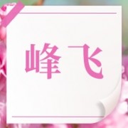 企业logo