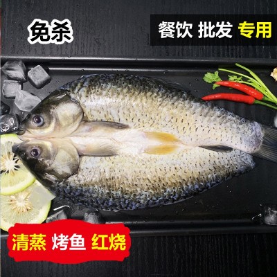 烤鱼半成品 纸上锡纸纸包鱼商用开背草鱼皖鱼新鲜冷冻预制菜食材