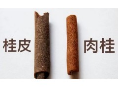 肉桂和桂皮一字之差，但不是去皮的区别，区别很大，别再用错了