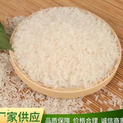 厂家批发玉倩 香米包装规格齐全5KG/10KG/15KG/25KG 精诚食品