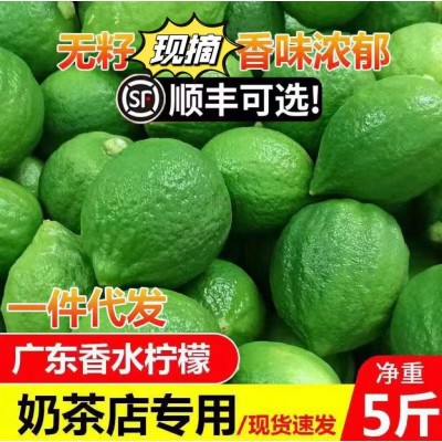 广东香水柠檬无籽一级果产地直发新鲜水果奶茶店专用整箱批发