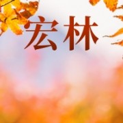 企业logo