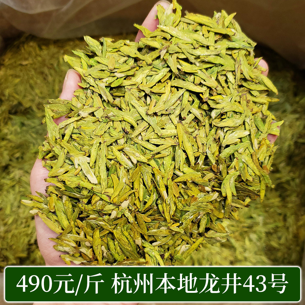 490黄版龙井价格