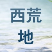 宁安市西荒地水稻专业合作社